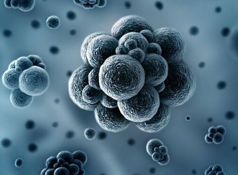 30萬(wan) 級潔淨間的微塵限度