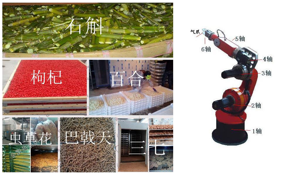 中藥材烘幹房升級機械自動化