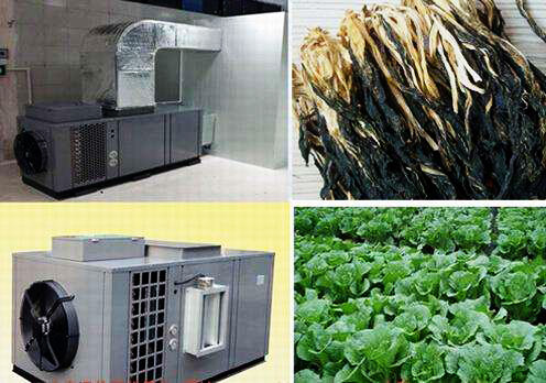 什麽(me) 是食品烘幹房？